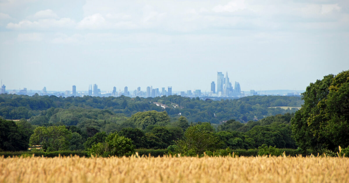 Oyster Unveiling the key role of green belt land development in…